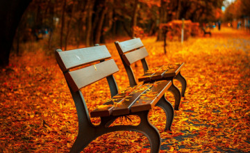 1280X800 Autumn Wallpapers