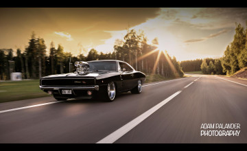1968 Dodge Charger Wallpapers