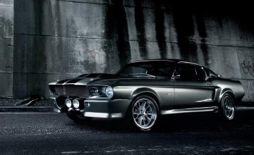 1969 Shelby Mustang GT500 Fastback Wallpapers