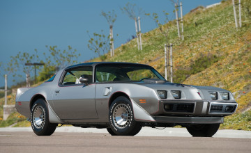 1979 Trans Am Wallpapers