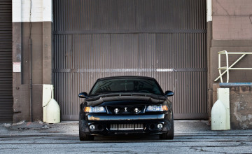 2003 Ford Mustang Cobra Terminator Wallpapers