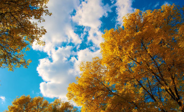 2880x1800 Autumn Wallpapers