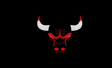 3D Chicago Bulls