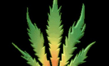 3D Weed Wallpapers