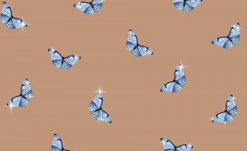 Aesthetic Butterfly Landscape Wallpapers