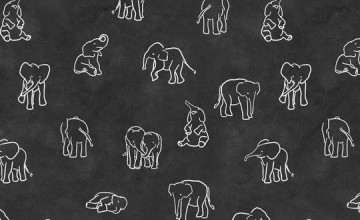 Aesthetic Elephant Wallpapers