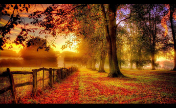 Aesthetic Fall Wallpapers