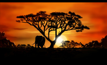 African Desktop Wallpapers