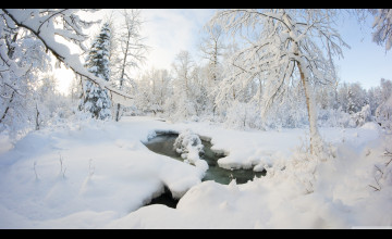 Alaska Winter HD