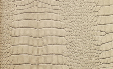 Alligator Skin Wallpapers