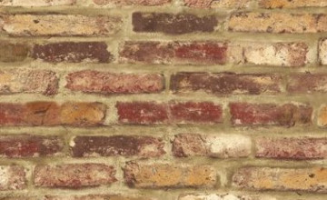 Amazon Brick Wallpaper