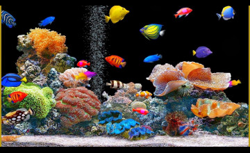 Animated Fish Wallpaper