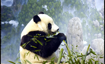 Animation Panda Wallpapers