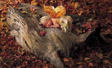 Anne Geddes Fall Wallpapers