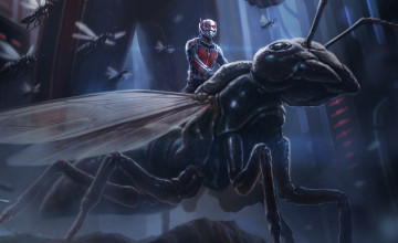 Ant Man Wallpaper HD