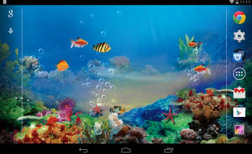 Aquarium Live Wallpaper Free