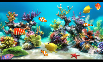 Aquarium Live Wallpaper Windows 10