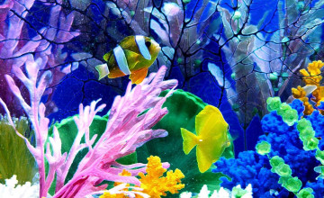 Aquarium Wallpaper for Desktop