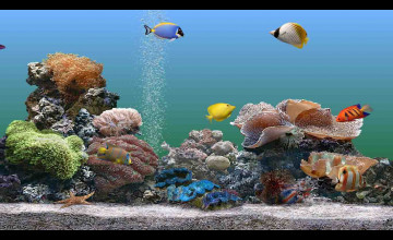 Aquarium Wallpapers for Windows 8