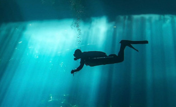 Aquarium With Diver Wallpapers
