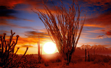 Arizona Desert Desktop Wallpaper