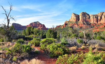 Arizona Landscape Wallpaper