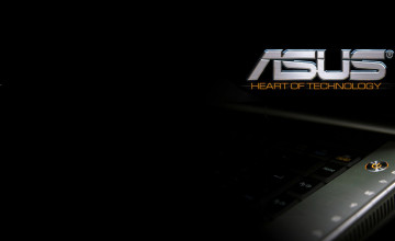 ASUS Collection
