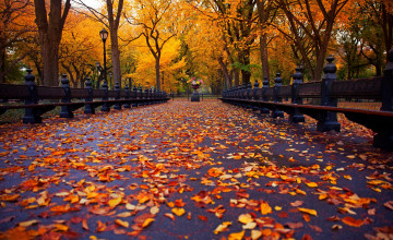 Autumn in NYC Wallpapers