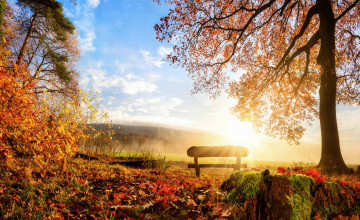 Autumn Morning Wallpapers
