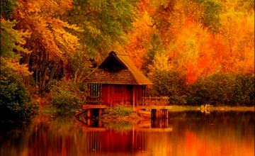 Autumn Wallpapers Pictures