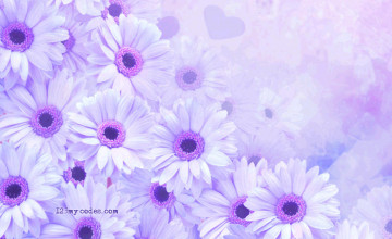 Background Flowers Images