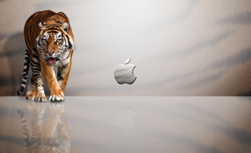 Background For Mac