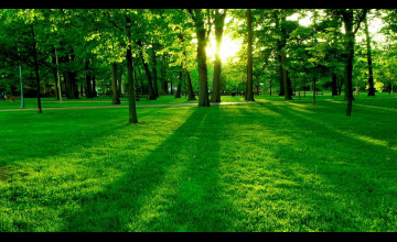 Backgrounds Pictures For Computer Desktop