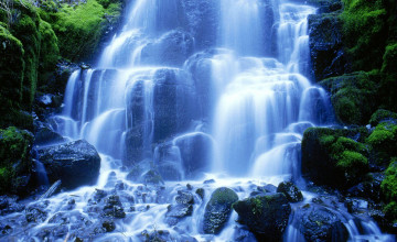 Backgrounds Pictures Live Wallpapers