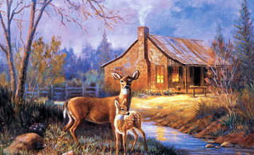 Backgrounds Computer Whitetail Deer