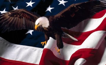 Bald Eagle American Flag Wallpaper