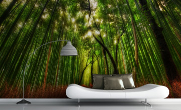 Bamboo Forest Wall Mural Wallpapers