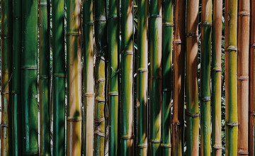 Bamboo Phone