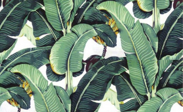 Banana Leaf Print Wallpaper