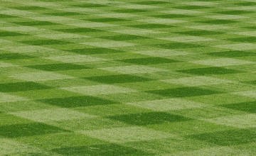 Baseball Field Backgrounds