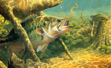 Bass Fishing HD Wallpapers