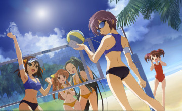Beach Babe Volleyball