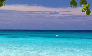 Beach Iphone Wallpapers
