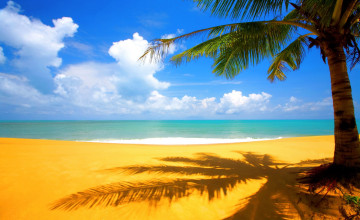 Beach Pictures for Computer Wallpaper