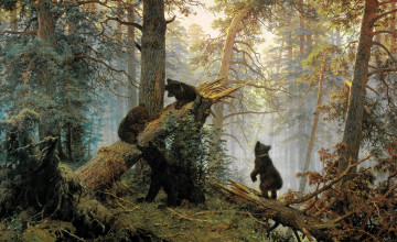 Bears Desktop Wallpapers