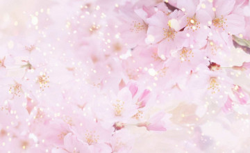 Beautiful Floral Backgrounds