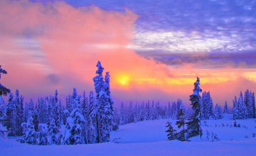 Beautiful Winter Pictures for