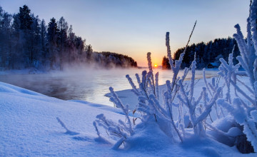 Beautiful Winter Scenery