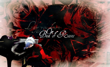 Bed of Roses Wallpapers