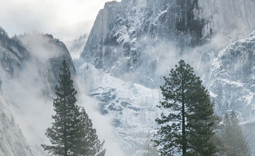 Best Nature iPhone Wallpapers